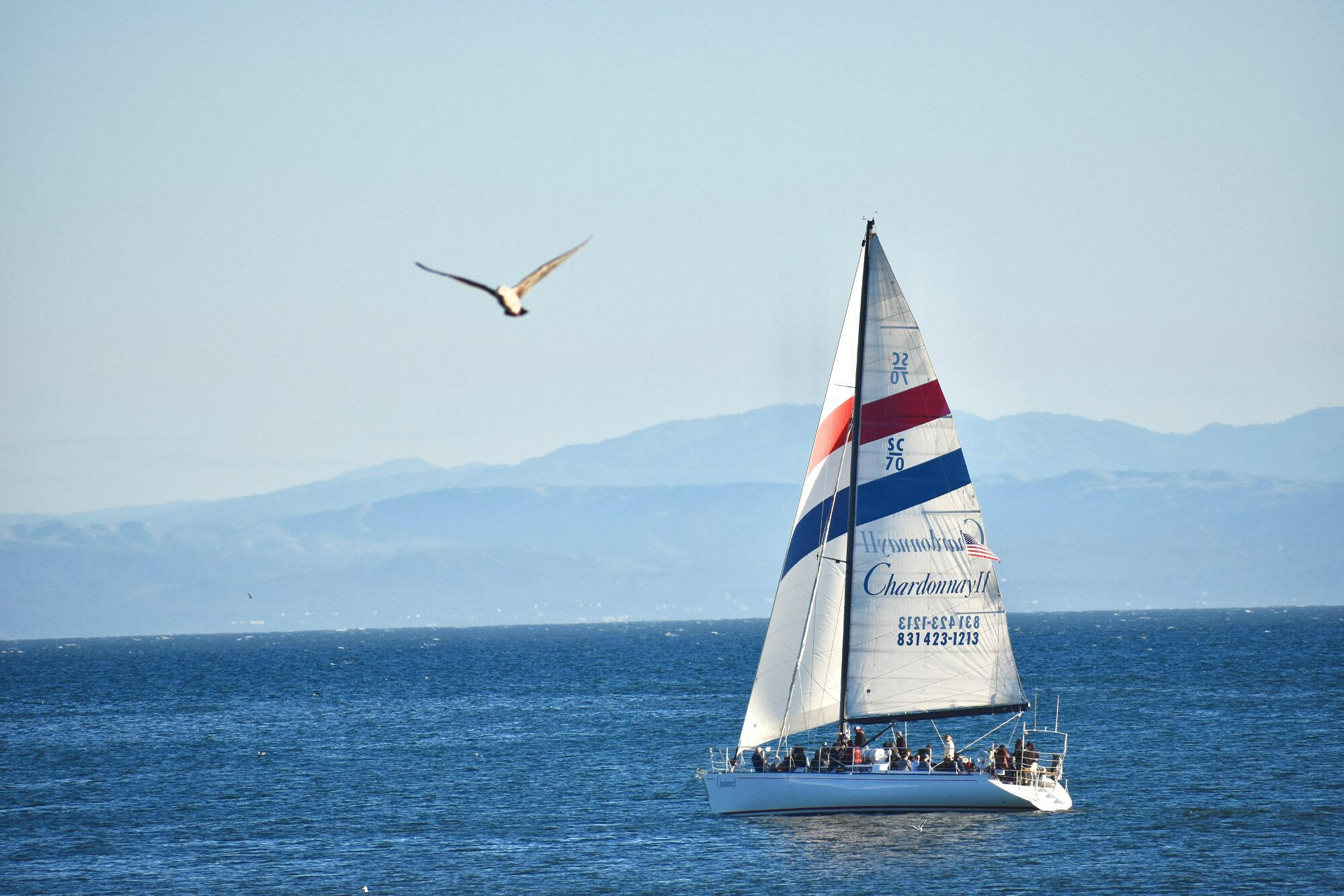 Chardonnay Sailing Charter